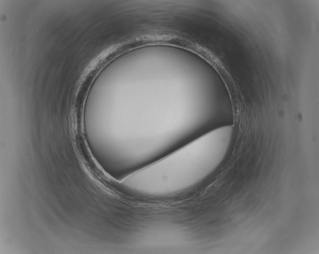 X0000080160726200612081026