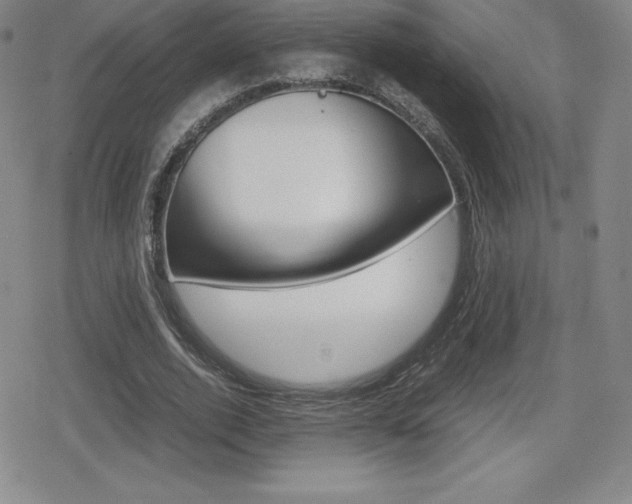 X0000080160728200612081026