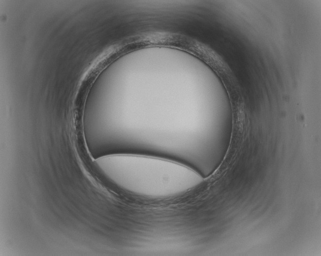 X0000080160730200612081026