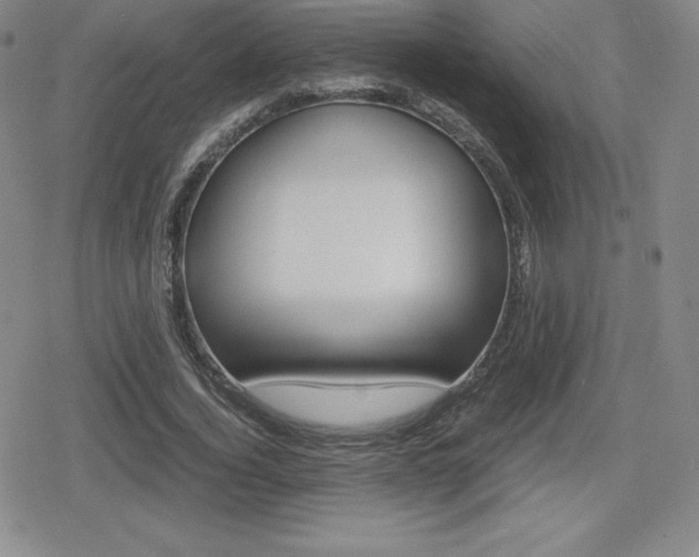 X0000080160732200612081026