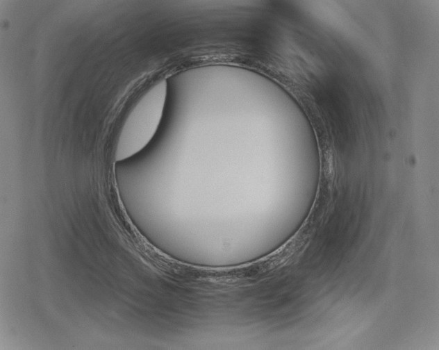 X0000080160733200612081026