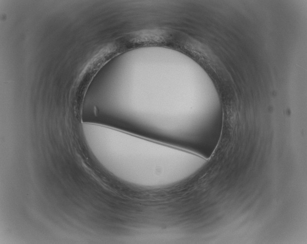X0000080160735200612081026