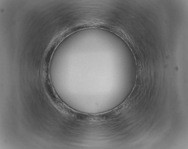X0000080160736200612081026