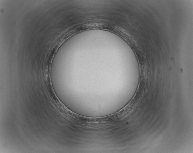 X0000080160737200612081026