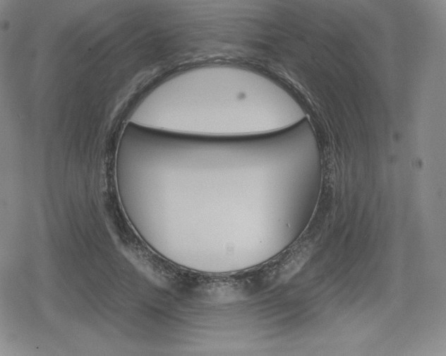 X0000080160738200612081027