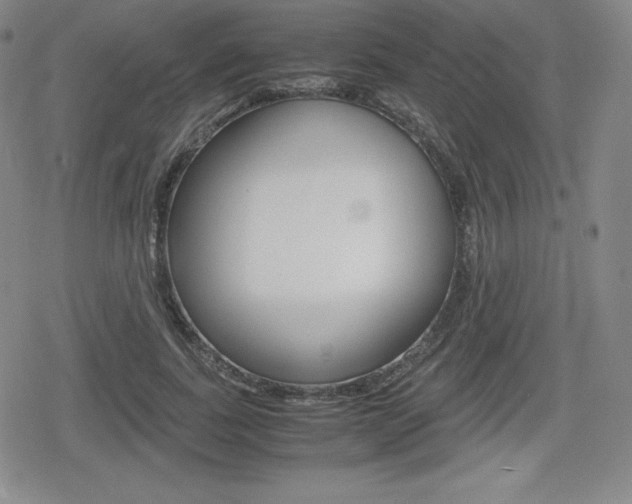 X0000080160739200612081027