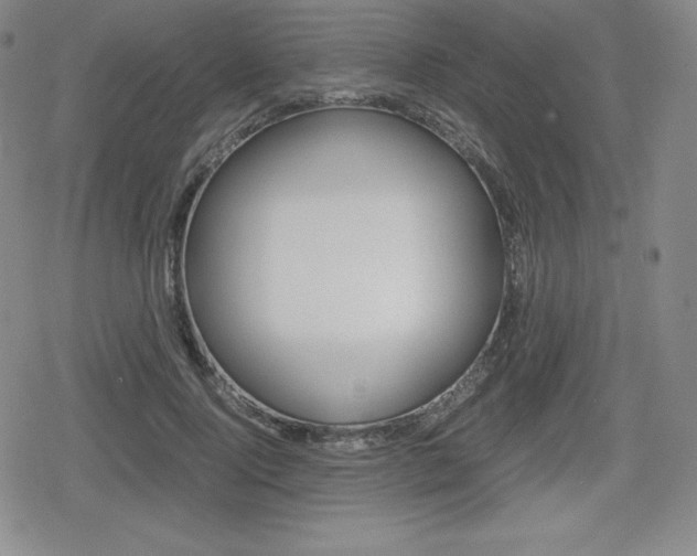 X0000080160740200612081027