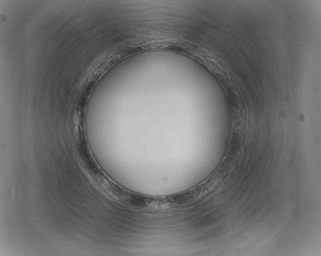 X0000080160742200612081027