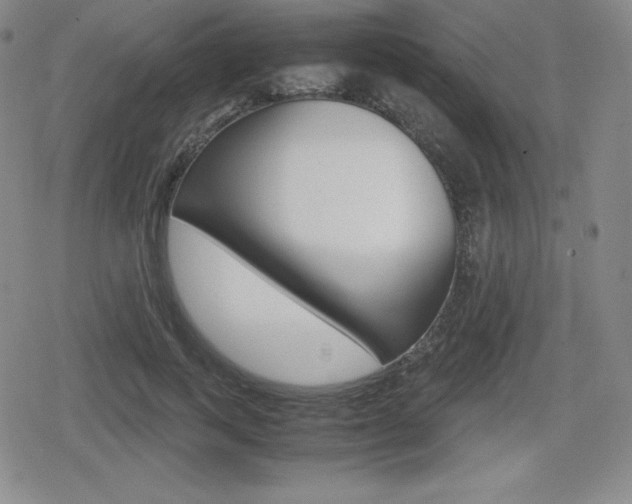 X0000080160743200612081027