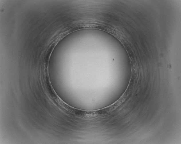 X0000080160744200612081027