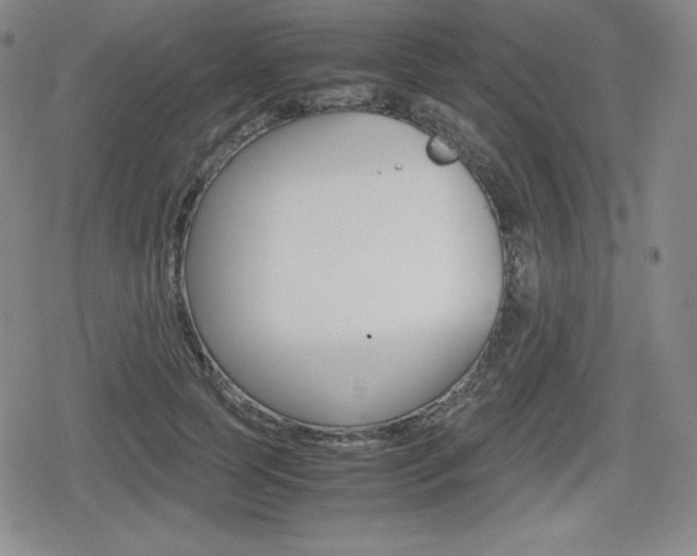 X0000080160745200612081027