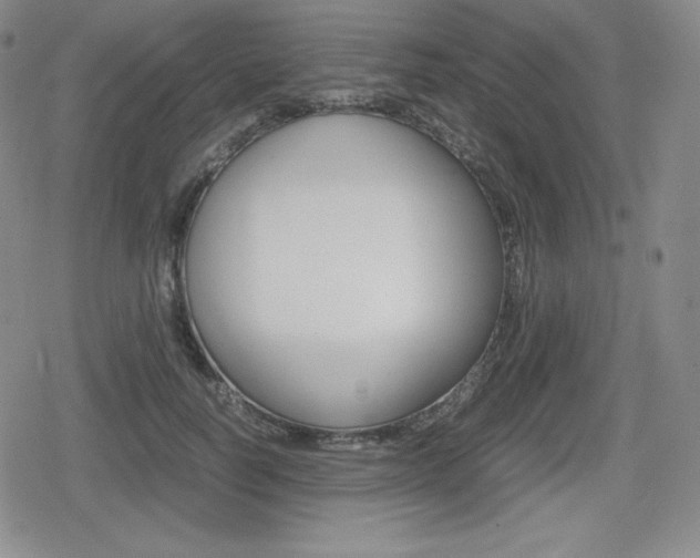 X0000080160746200612081027