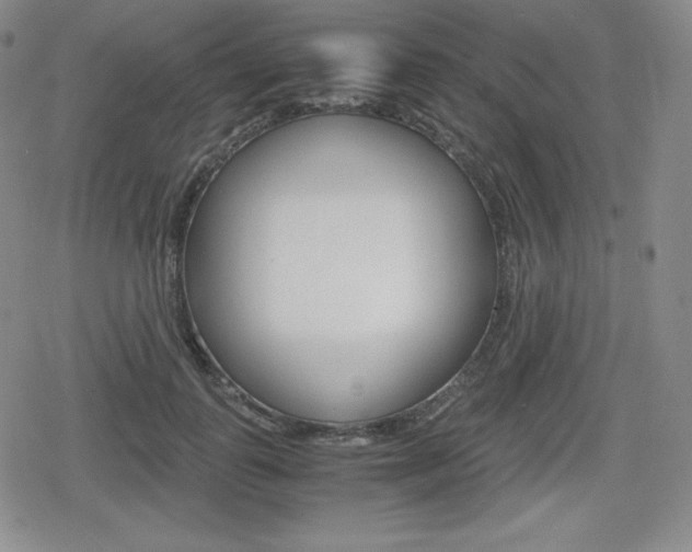 X0000080160747200612081027