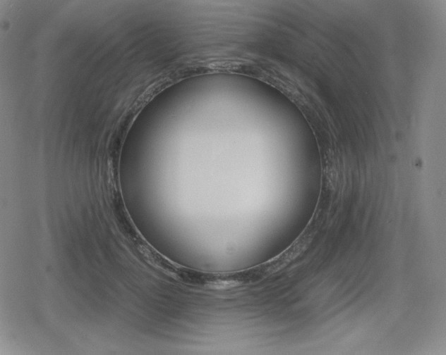 X0000080160748200612081027
