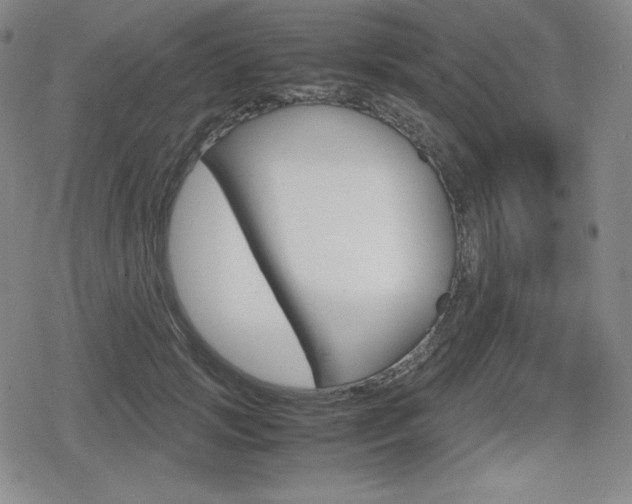 X0000080160749200612081027