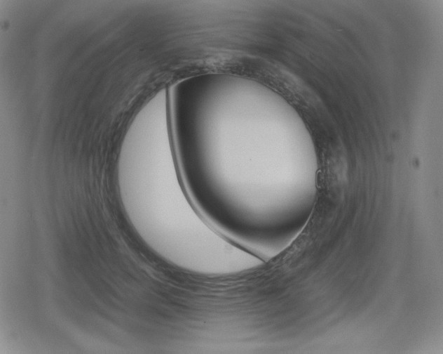 X0000080160750200612081027