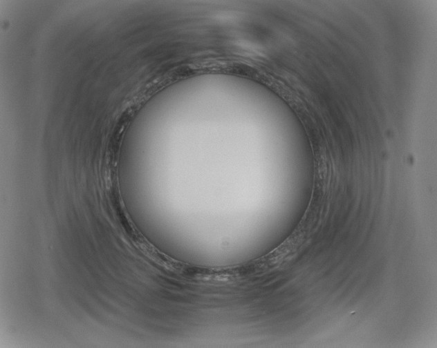 X0000080160751200612081027