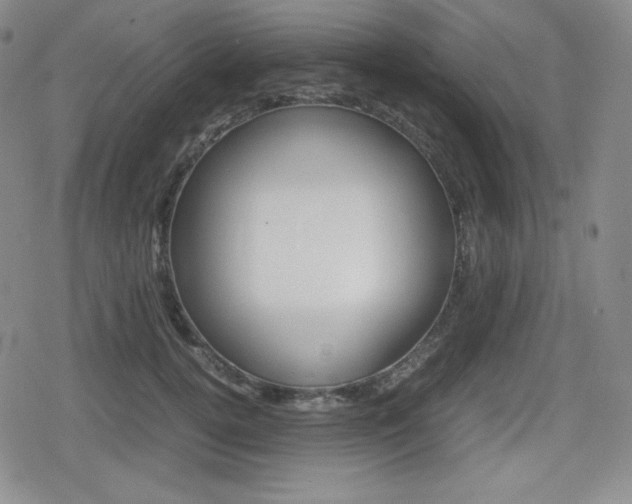 X0000080160752200612081027