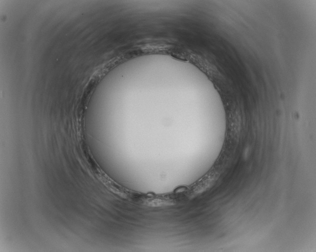 X0000080160755200612081027