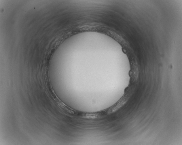 X0000080160758200612081027