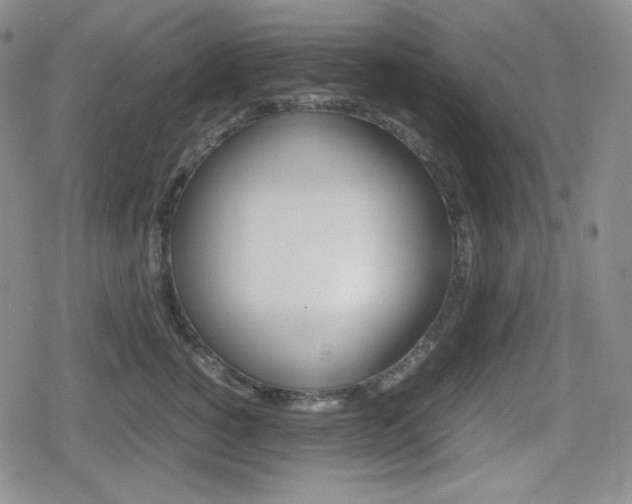 X0000080160760200612081027