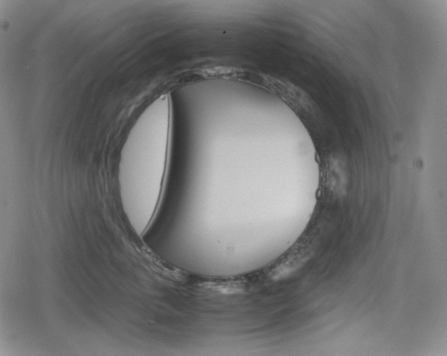 X0000080160763200612081027