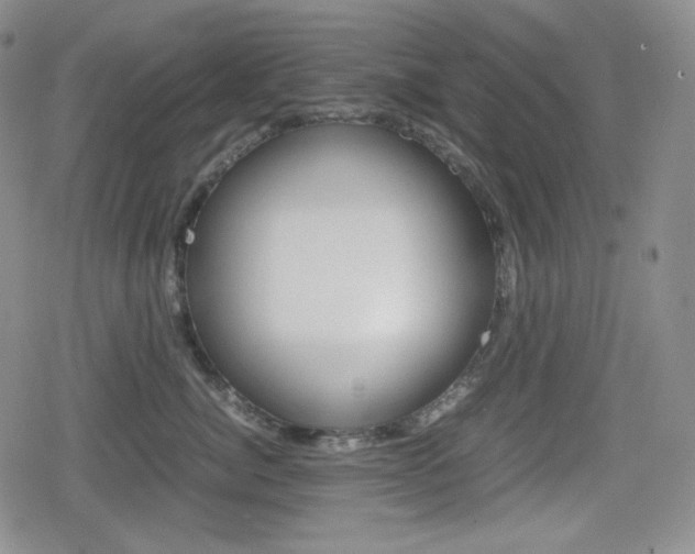 X0000080160764200612081027