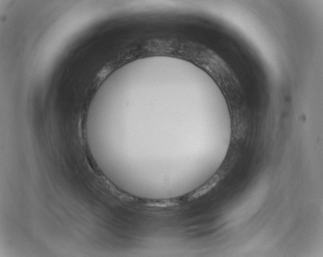 X0000080160765200612081027