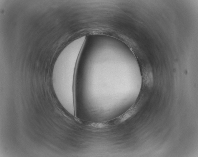 X0000080160766200612081027