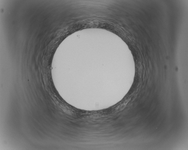 X0000080160769200612081026