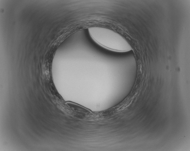 X0000080160771200612081026