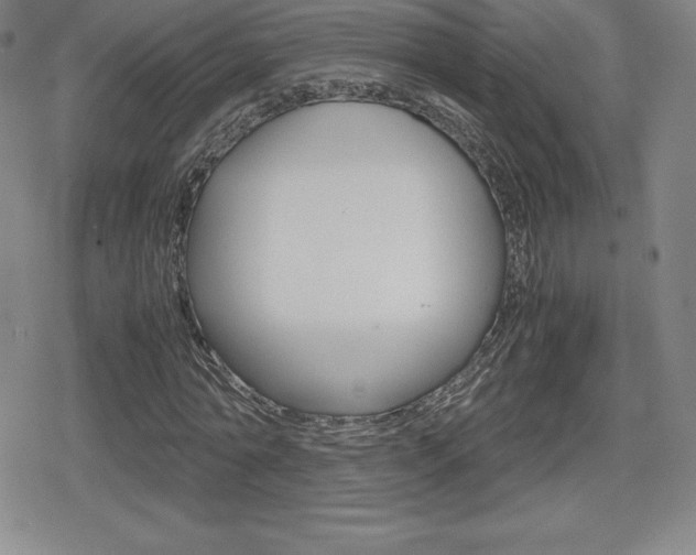 X0000080160774200612081026