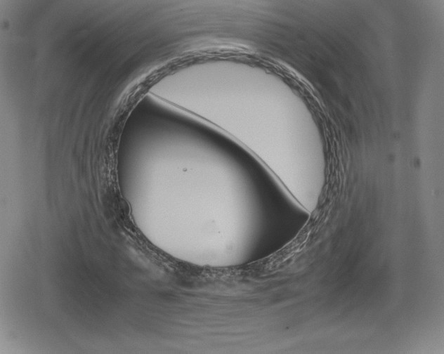 X0000080160775200612081026