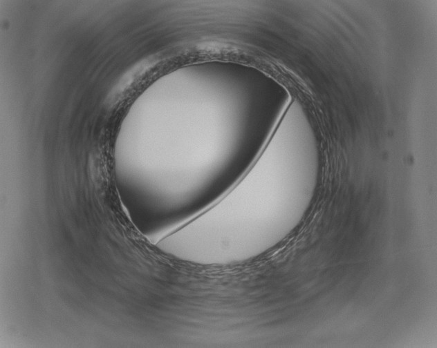 X0000080160776200612081026