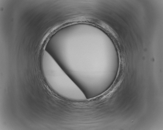 X0000080160781200612081026