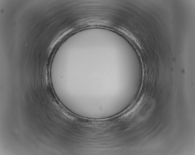 X0000080160782200612081026