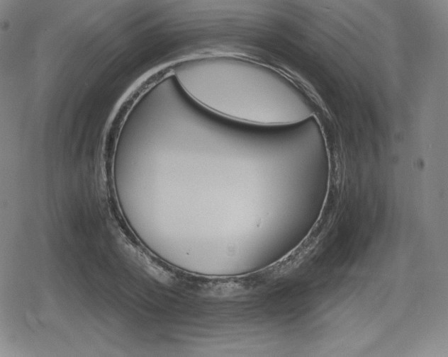 X0000080160784200612081026