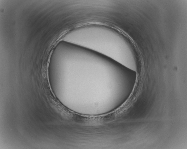 X0000080160785200612081026