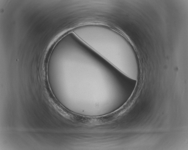 X0000080160787200612081026