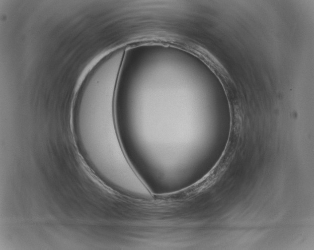 X0000080160788200612081026