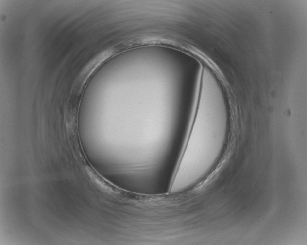 X0000080160801200612081026