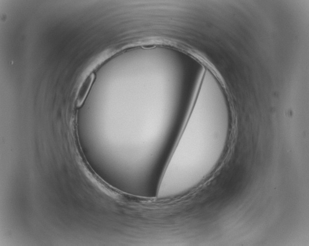X0000080160805200612081026