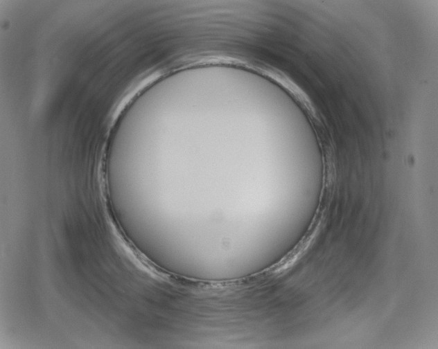 X0000080160806200612081026