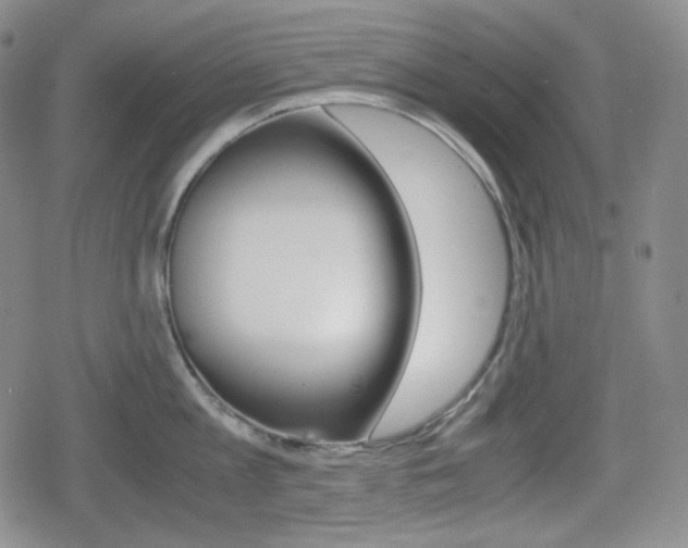 X0000080160813200612081025