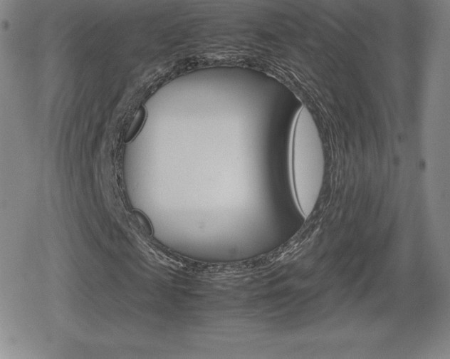 X0000080160817200612081025