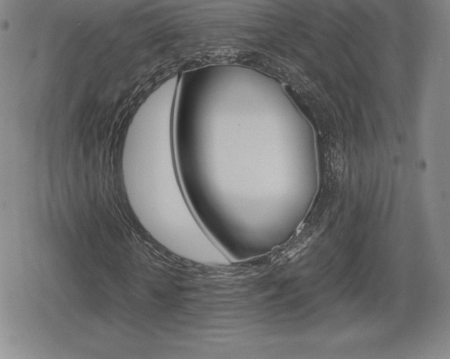 X0000080160818200612081025