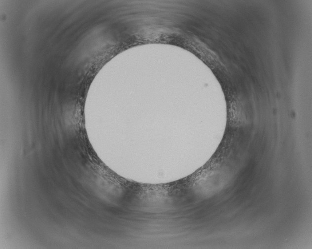 X0000080160820200612081025