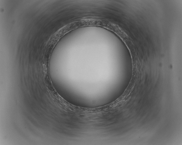 X0000080160821200612081025