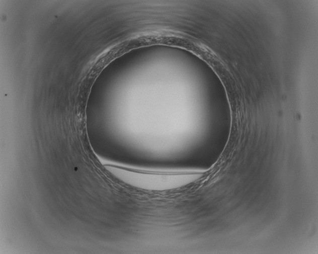 X0000080160822200612081025