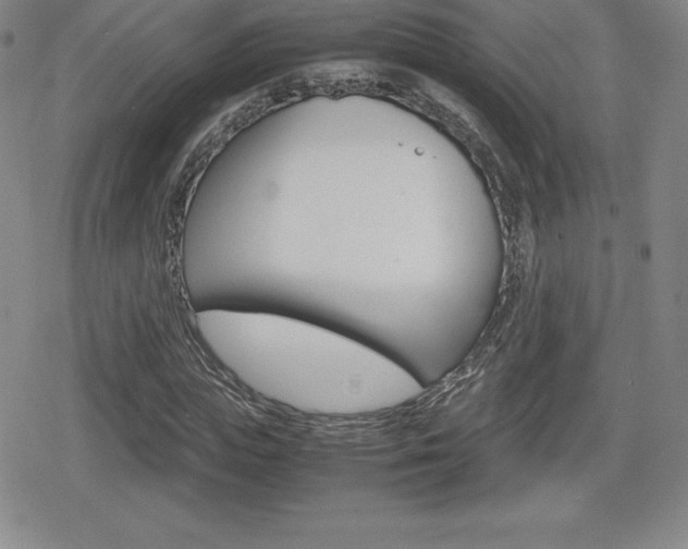 X0000080160823200612081025